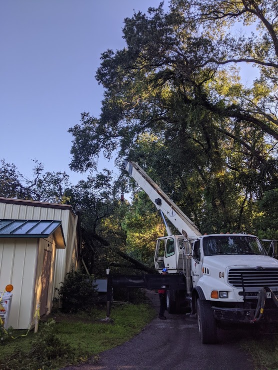 118157324_3380459005345795_7728900500008416447_n