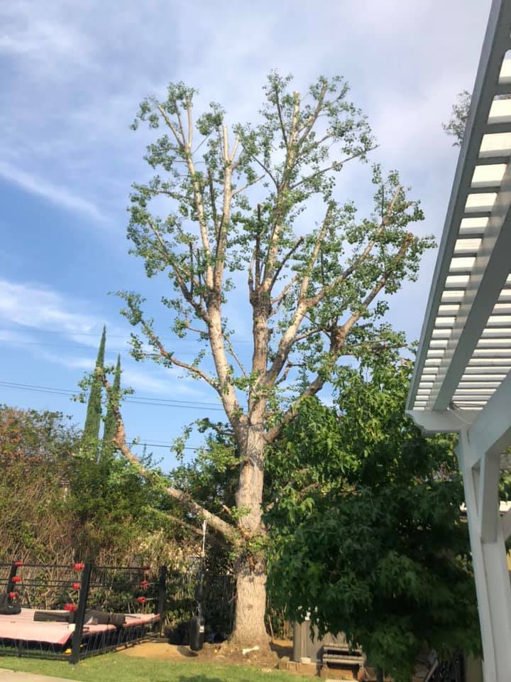 120770574_3527430117295148_8340258789189639940_n