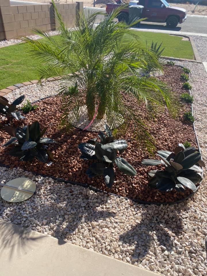 131892869_692696964722620_213625139367400941_n