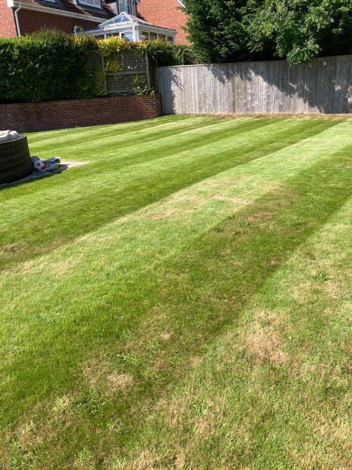 145774056_1560045137520123_9099870207694379519_n