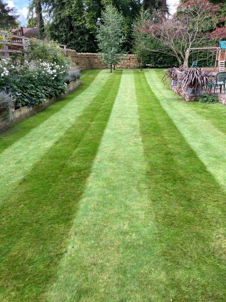 146244025_1560045104186793_3565060497865594585_n