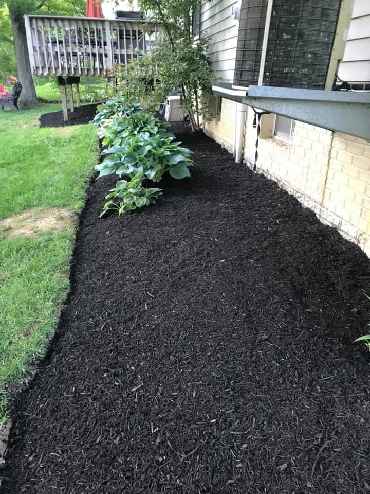 187292226_10160602833661756_5329191962033484216_n