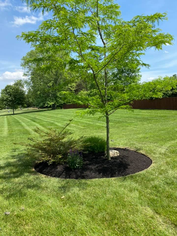 191648007_4195145530566316_8224356393943465299_n