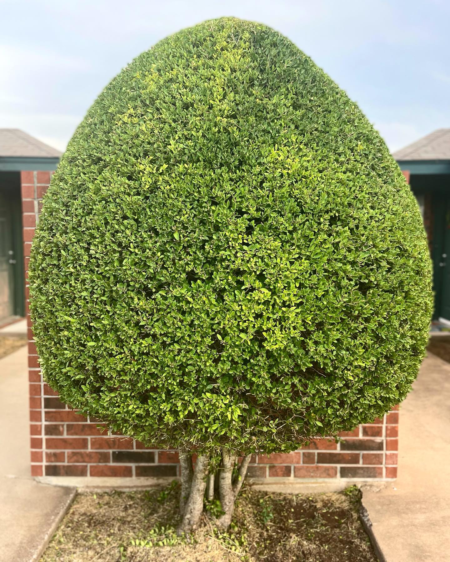 239313807_2595182947294967_7187004054472060433_n