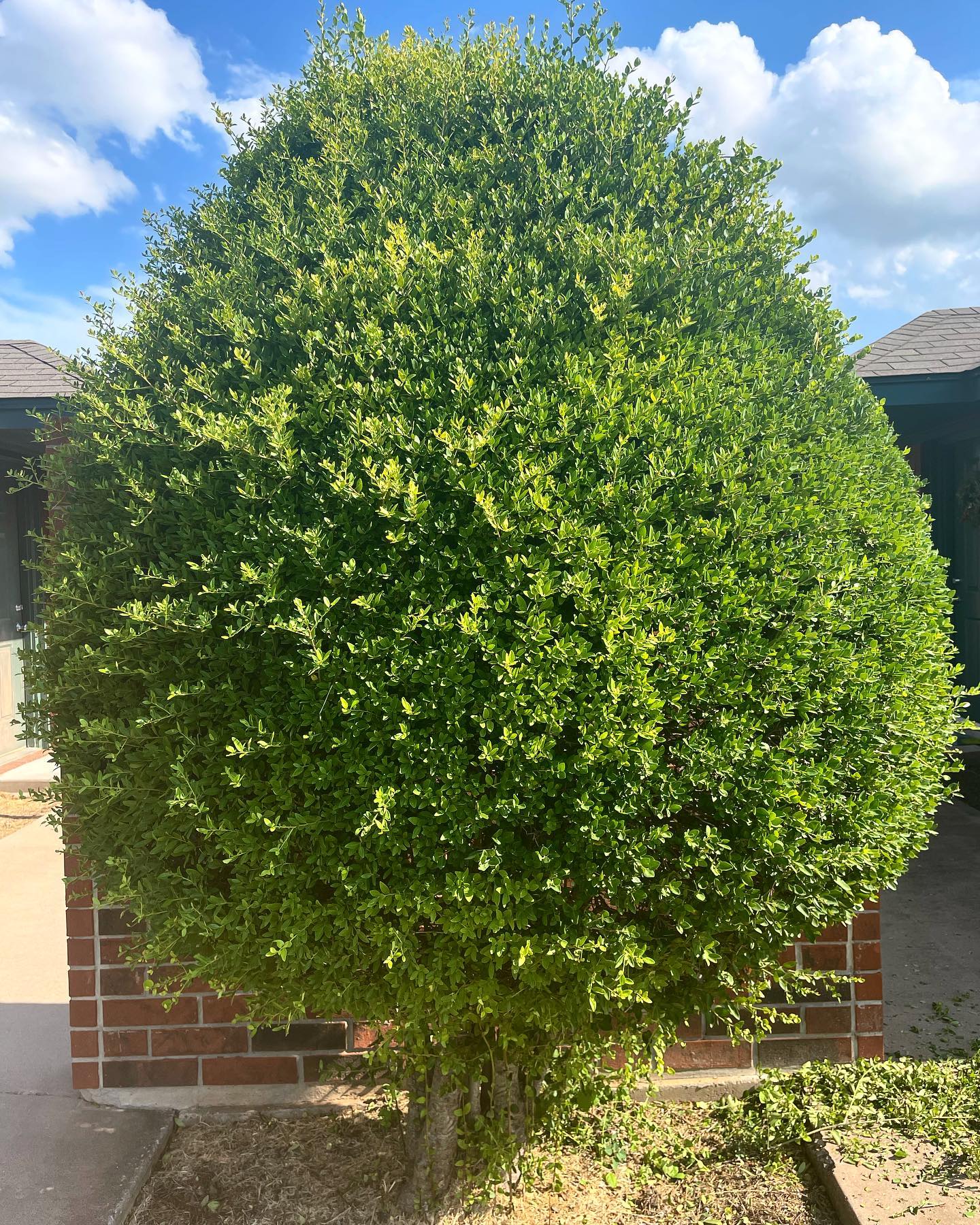 239441899_2595182940628301_7902212727218887244_n