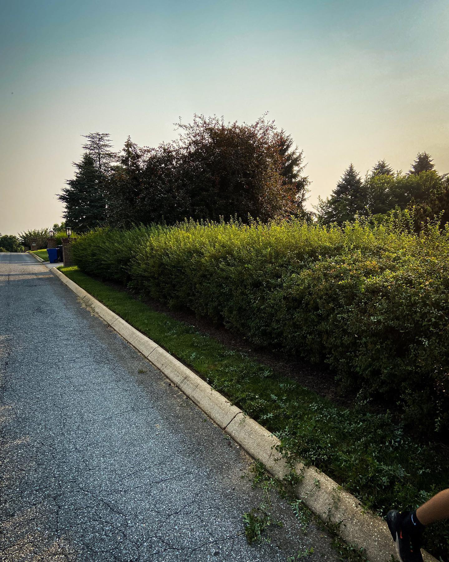 465727498_1036961551450190_5496838218674728123_n