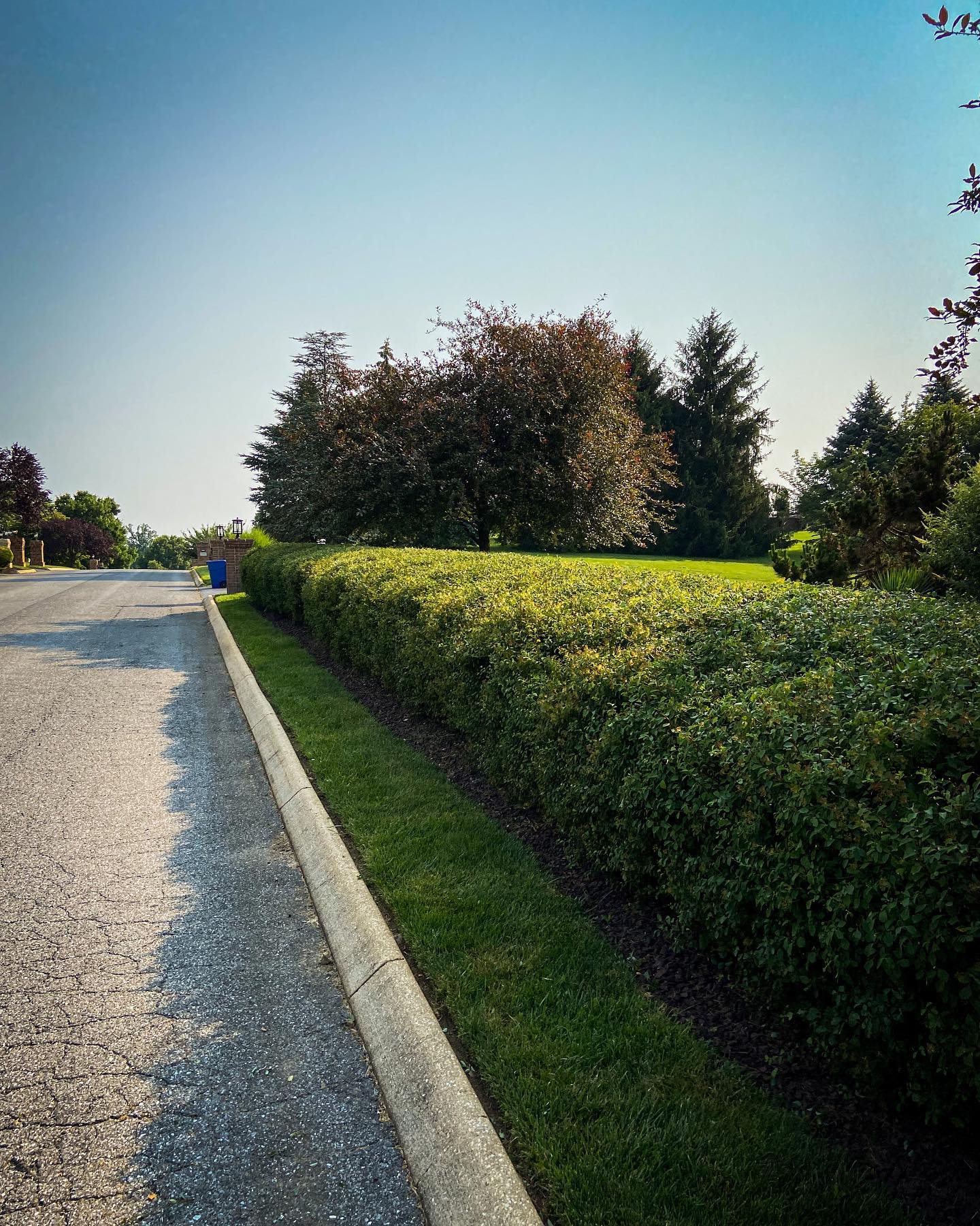 465917925_1036961548116857_6774329723586543377_n