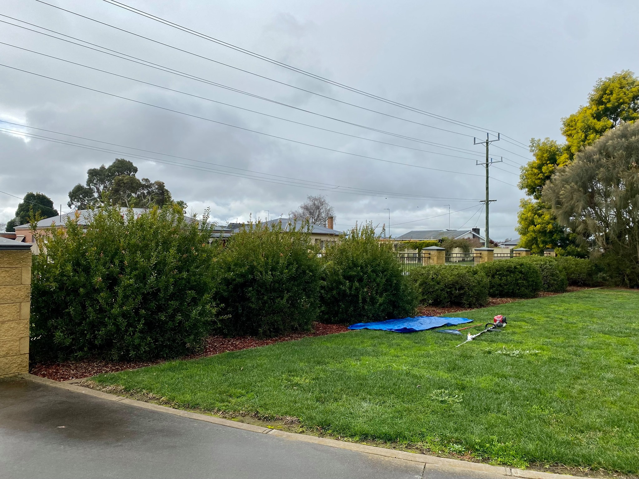 468957321_1093516555900619_8280023028562506889_n