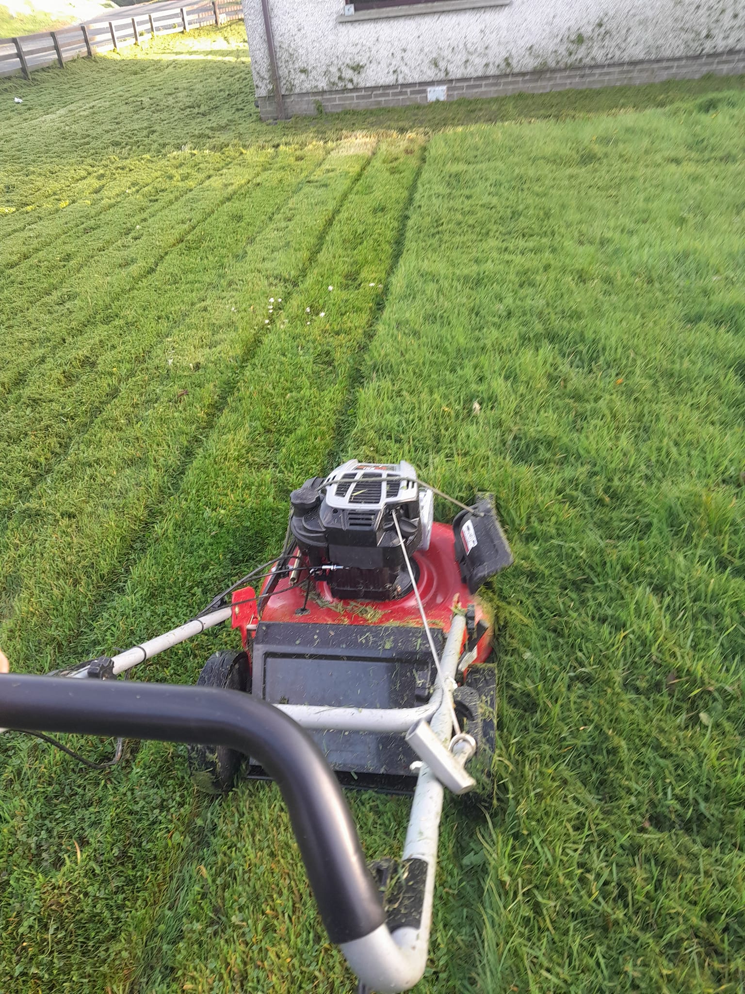 469534079_556795297207906_8919731237367909939_n