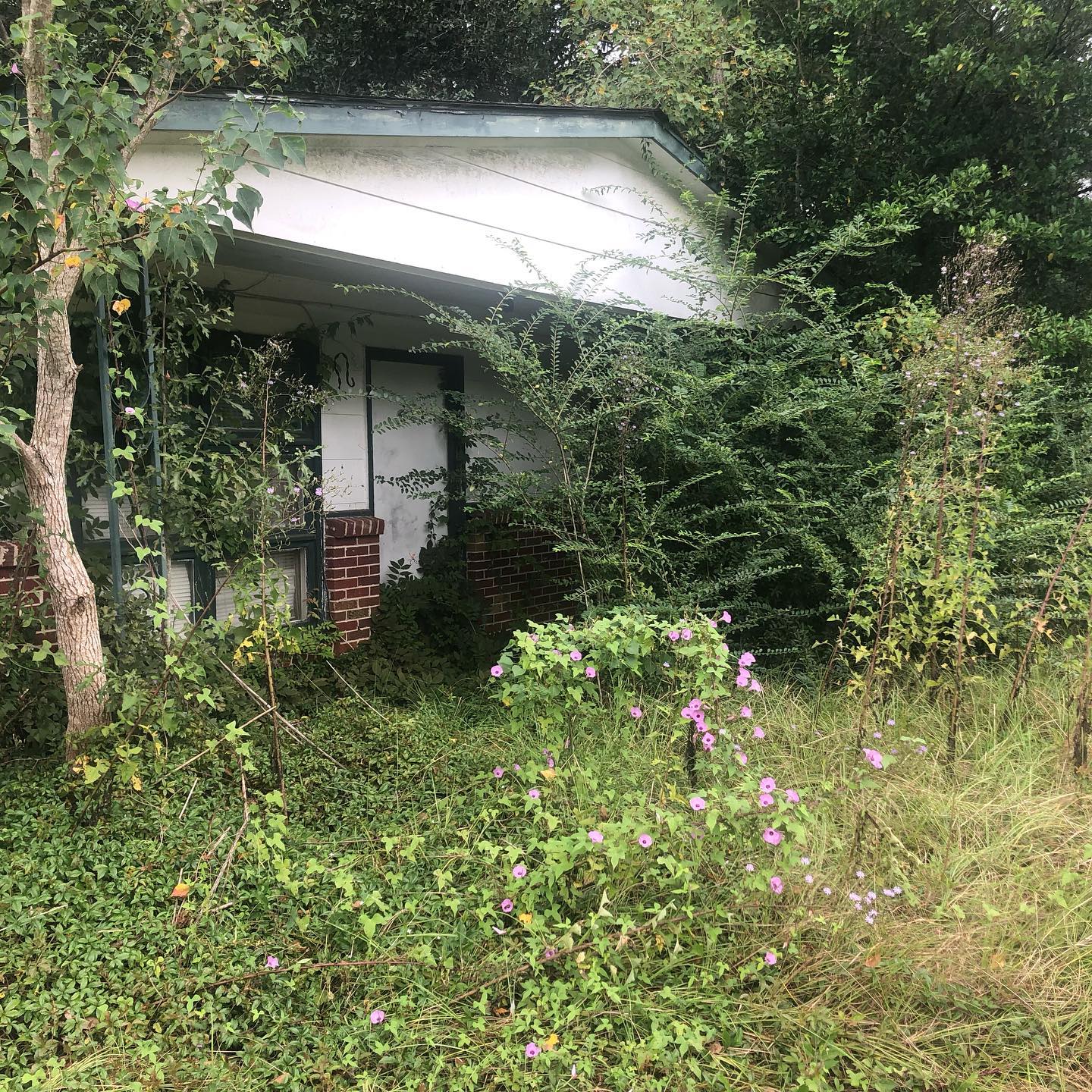 469696754_1141964017933231_7692193076323130890_n