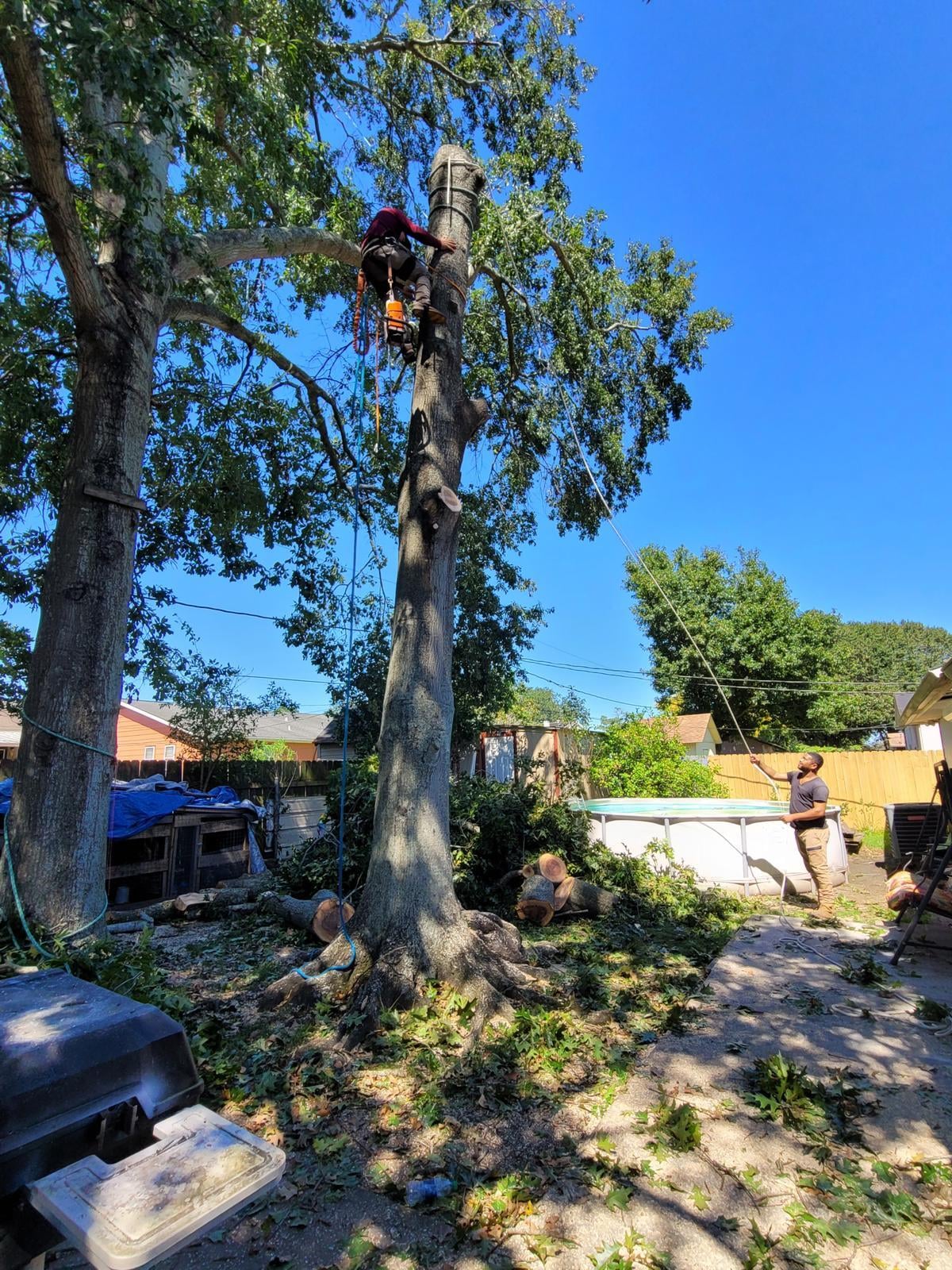 470146226_618929053808106_5560728123172708500_n