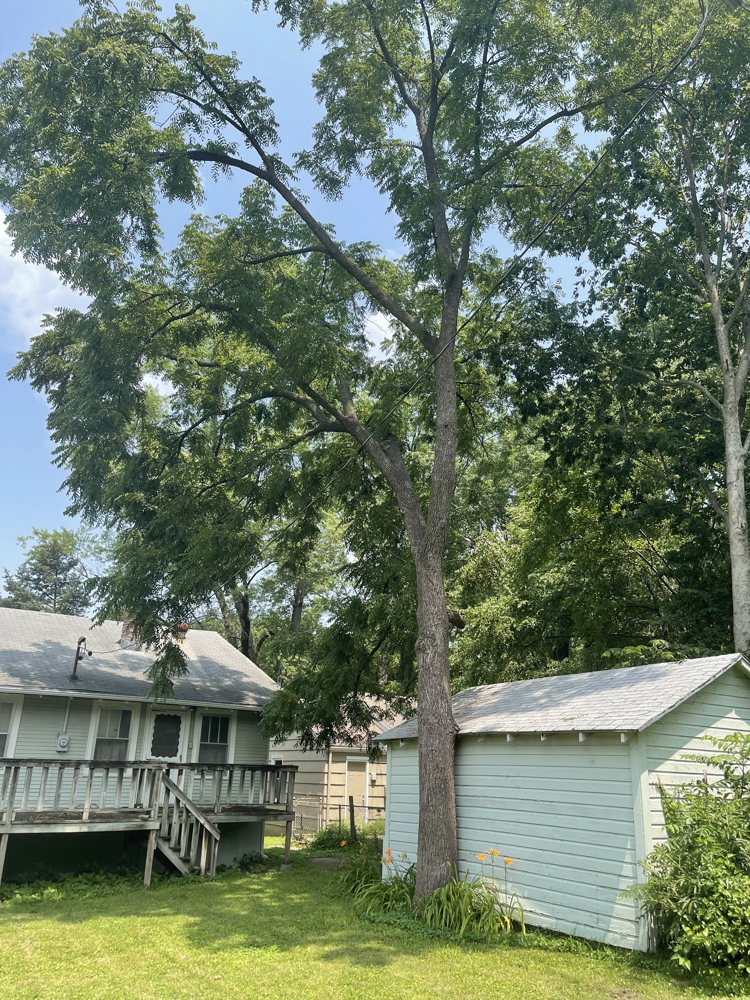 470169934_935221218561443_574514182221688524_n