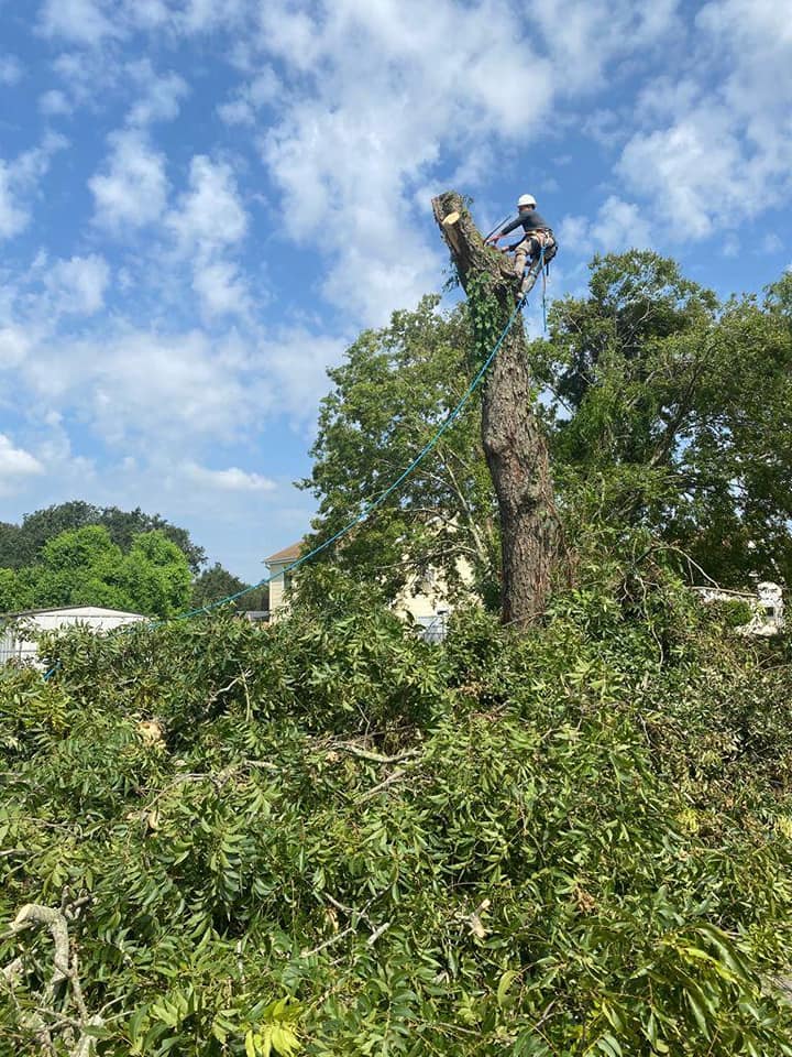 470239837_622629110104767_4917726784196698083_n