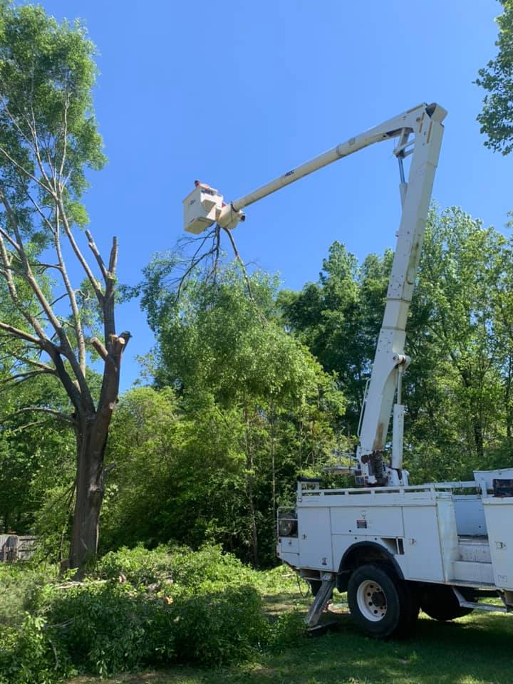 470668271_960382392689772_3825308581467599537_n