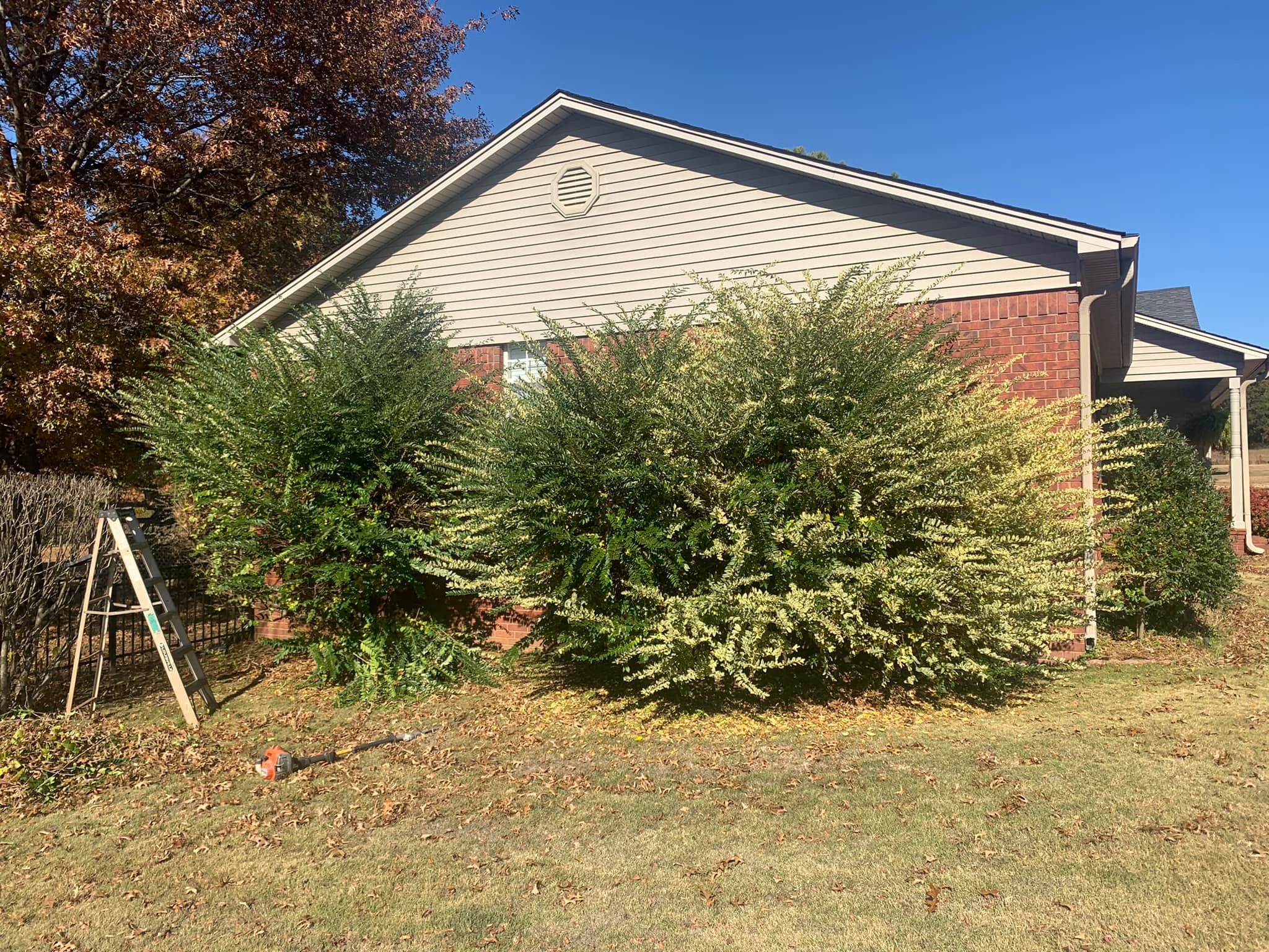 474563345_9798301263551128_4336331041464254940_n