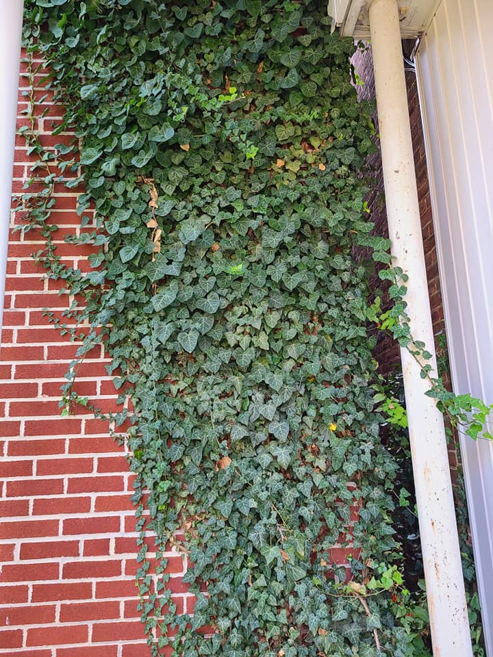 474775808_8956285081119860_477920354681423003_n