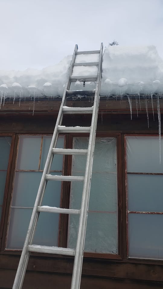 475311456_3811538365778752_8128629425119213969_n