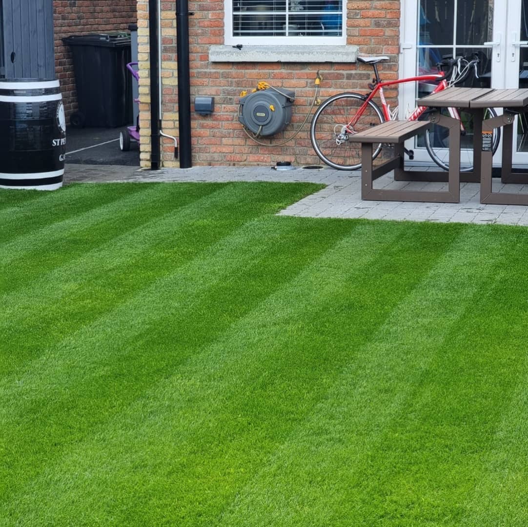 475766776_3777953382518750_9058427777611484851_n