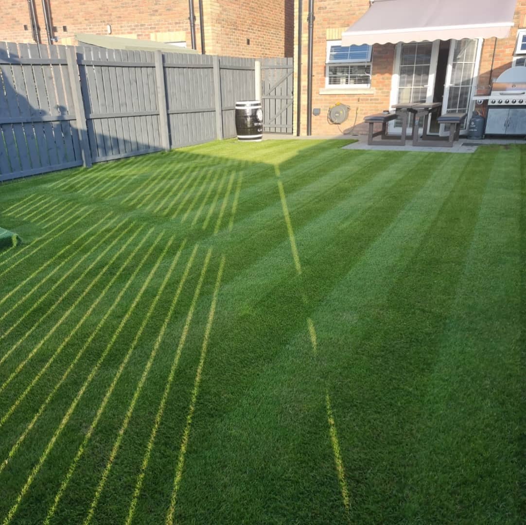 475977913_3777953669185388_1711753918472719517_n