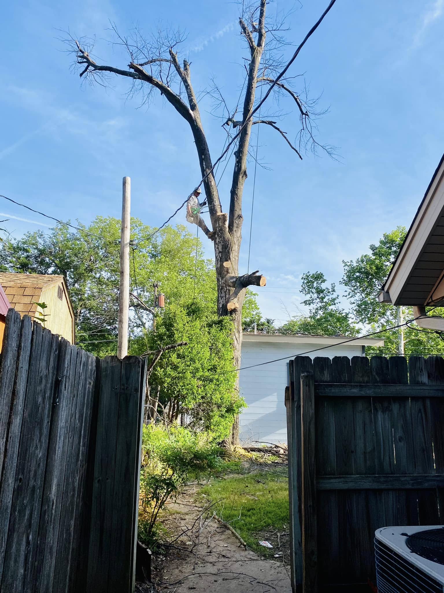 518110853_122263455680227397_4538369528021756261_n