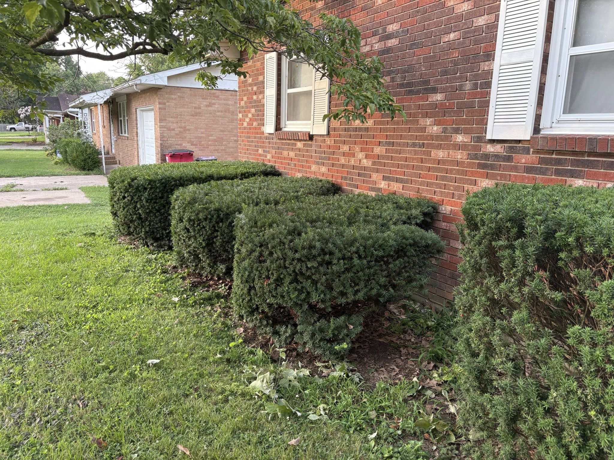 519075962_122123050544877678_6164916313444738530_n